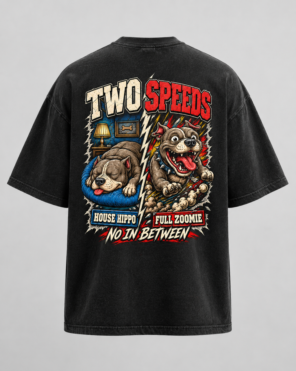 Two Speeds heavyweight garment-dyed tee in washed black, front with distressed GOOFYPITS chest logo